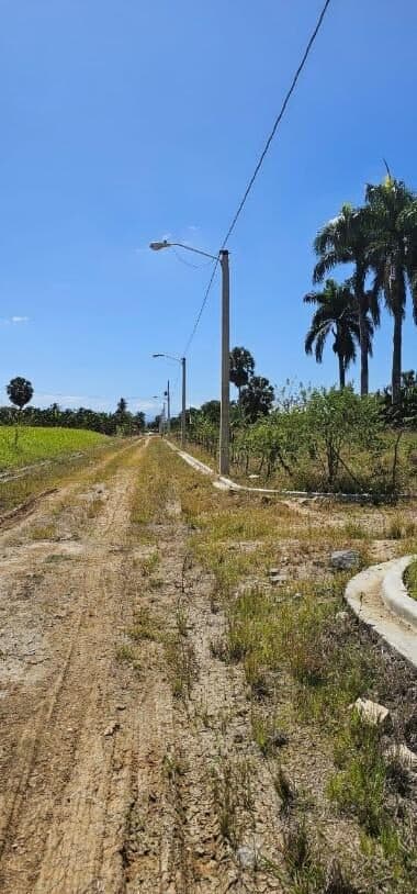 Línea de media tensión en zona rural
